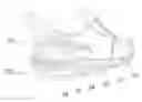 Fig. 01 - Sole structure for a flexible shoe
