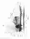 Fig. 02 - Article of footwear having a heel fixing system