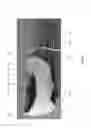 Fig. 06 - Article of footwear having a heel fixing system