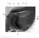 Fig. 09 - Article of footwear having a heel fixing system