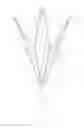 Fig. 01 - HAND-PUSH ROTATING UMBRELLA