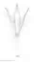 Fig. 02 - HAND-PUSH ROTATING UMBRELLA