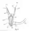 Fig. 06 - Portable holder for an electronic device