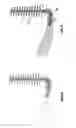 Fig. 05 - Oral hygiene or cosmetic applicator brush device and manufacturing method thereof