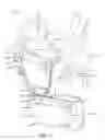 Fig. 02 - CHILD CARRIER WITH THREE-DIMENSIONAL SEAT