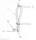 Fig. 01 - Bendable hanging apparatus