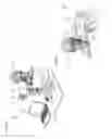 Fig. 04 - System and method for rapid examination of vasculature and particulate flow using laser speckle contrast imaging