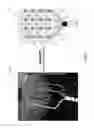 Fig. 08 - Orientation independent sensing, mapping, interface and analysis systems and methods