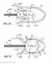 Fig. 17 - LUMINAL ORGAN SIZING DEVICES AND METHODS