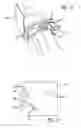 Fig. 12 - Radioabsorbent assemblies
