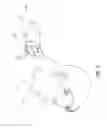 Fig. 02 - Non-invasive assessment of anatomic vessels