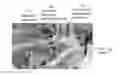 Fig. 01 - Apparatus And Method For Non-Invasive Determination Of Intracranial Pressure