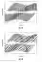 Fig. 07 - Methods, systems and computer program products for single track location shear wave elasticity imaging