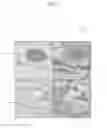 Fig. 06 - APPARATUS AND METHOD FOR VISUALIZING ANATOMICAL ELEMENTS IN A MEDICAL IMAGE