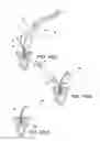 Fig. 08 - SELF-PUNCHING SOFT ANCHOR