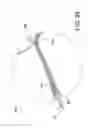 Fig. 15 - SELF-PUNCHING SOFT ANCHOR