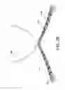Fig. 19 - SELF-PUNCHING SOFT ANCHOR