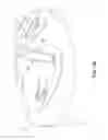Fig. 28 - SELF-PUNCHING SOFT ANCHOR
