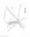 Fig. 33 - SELF-PUNCHING SOFT ANCHOR