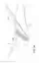 Fig. 34 - SELF-PUNCHING SOFT ANCHOR