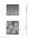 Fig. 08 - Delivery system for micrograft for treating intracranial aneurysms