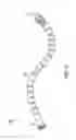 Fig. 12 - Intramedullary fixation system for management of pelvic and acetabular fractures