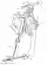 Fig. 01 - Soft tissue measurement and balancing systems and methods