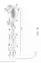Fig. 115 - Clot retrieval system