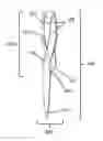 Fig. 01 - Methods, compositions, and systems for device implantation