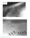 Fig. 21 - Methods, compositions, and systems for device implantation