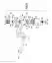 Fig. 06 - Apparatus and method for percutaneously extending an existing spinal construct