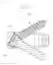 Fig. 07 - Surgical screw and fusion device using the same
