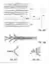 Fig. 15 - Bone implants for the treatment of infection