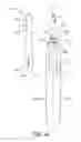 Fig. 24 - Oral care implement body and replacement head therefor