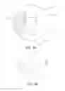 Fig. 04 - Intraocular lens with elastic mask