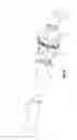 Fig. 18 - Prosthesis, delivery device and methods of use