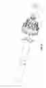Fig. 20 - Prosthesis, delivery device and methods of use