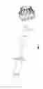 Fig. 21 - Prosthesis, delivery device and methods of use
