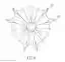 Fig. 06 - ORTHOPAEDIC IMPLANTS AND METHODS