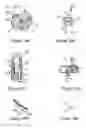 Fig. 20 - Anchoring device for a spinal implant, spinal implant and implantation instrumentation