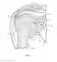 Fig. 02 - Shoulder arthroplasty system method with combination humeral sizer, trial, and guide