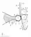 Fig. 02 - Absorbent-article sheet member manufacturing apparatus