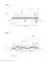 Fig. 02 - Sheet-shaped object and method for producing sheet-shaped object