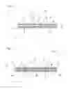 Fig. 07 - Sheet-shaped object and method for producing sheet-shaped object