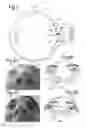 Fig. 03 - Image recognition-based dosage form dispensers