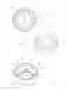Fig. 12 - Container
