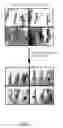 Fig. 06 - Polyphenols/PEG based hydrogel system for a dental varnish