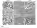 Fig. 09 - Polyphenols/PEG based hydrogel system for a dental varnish