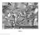 Fig. 03 - BIOCIDAL COMPOSITIONS AND RELATED METHODS