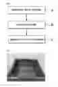 Fig. 02 - Method for preparing vegetable oil emulsion by ultrasonication